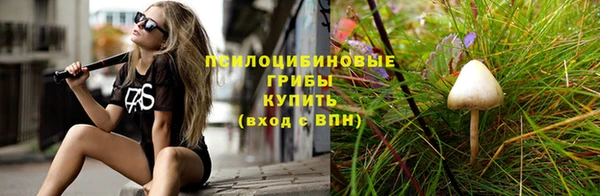 молекула духа Алексеевка