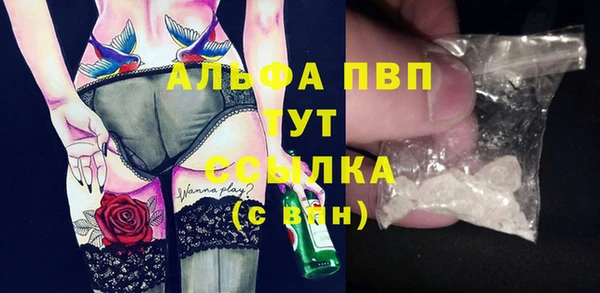 молекула духа Алексеевка