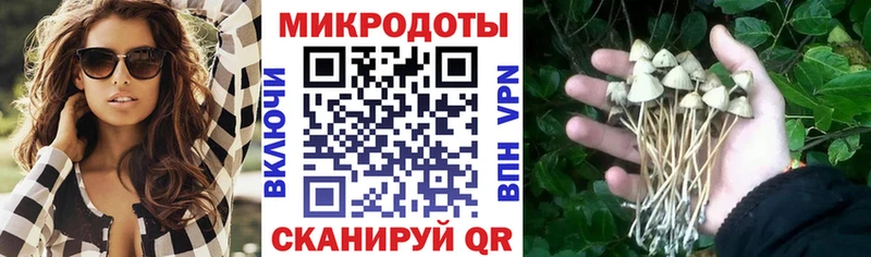 Галлюциногенные грибы Cubensis  маркетплейс как зайти  Борзя  закладка 
